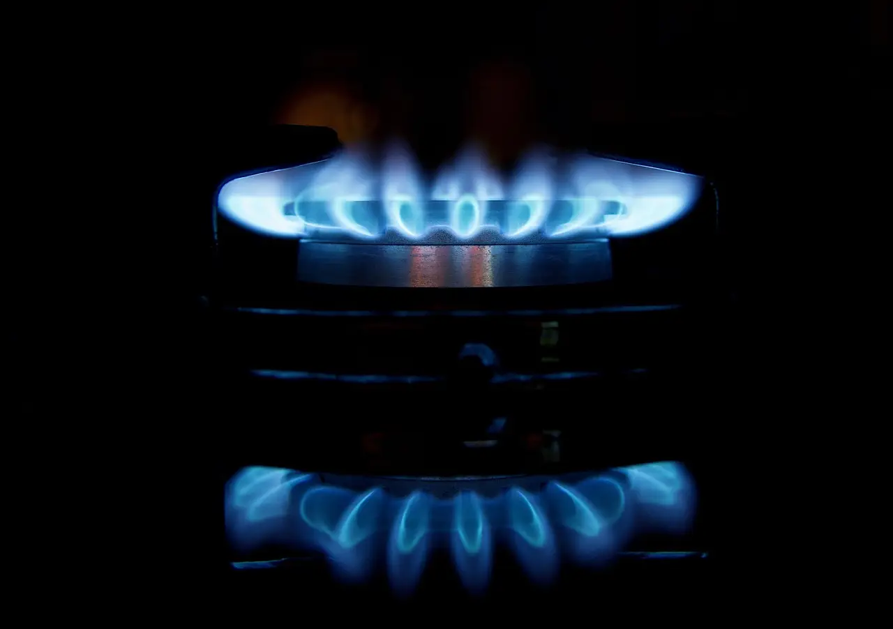 gas, flames, stove, burner, fire, blue, light, heat, kitchen, appliances, energy, reflections, glowing, dark, cooking, burning, black kitchen, black fire, black light, black cooking, black energy, black dark, black lights, gas, gas, gas, gas, gas
