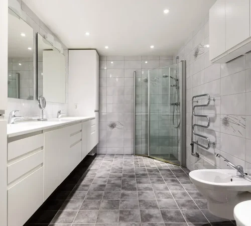 real estate, interior design, bathroom, toilet, shelf, sink, luxury, shower, mirror, towel, decor, cabinet, bathroom, bathroom, bathroom, bathroom, bathroom
